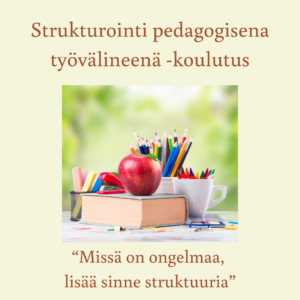 Strukturointi pedagogisena työvälineenä -koulutus / yhden henkilön lisenssi